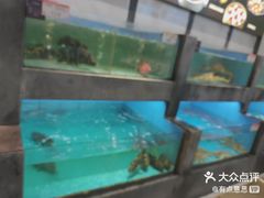 -徐记海鲜(开福寺|伍家岭店)