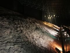 -世界恐龙谷景区