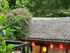 -院8里·少城记忆老川菜(宽窄巷子店)