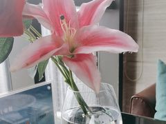 -法兰度航空主题餐厅(端州店)