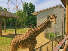 -石家庄市动物园