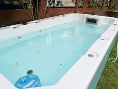 -翊宠yipet猫狗购宠庄园犬舍•猫舍