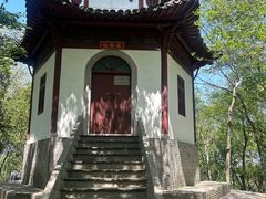 -上海佘山国家森林公园天马山园