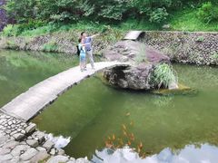 -楠溪江风景名胜区