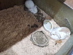-上海大自然野生昆虫馆