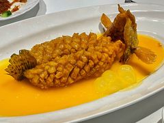 松鼠桂鱼-福1088