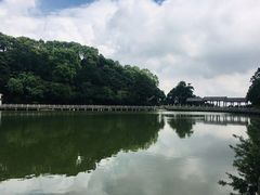 -广州市帽峰山景区