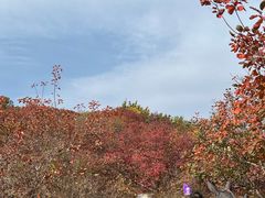 -周口店坡峰岭风景区