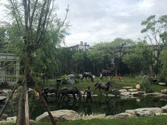 -云南省图书馆