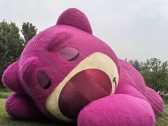 -大望京公园