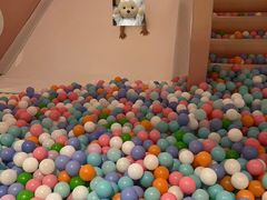 -青水瓦台汤泉(未央店)