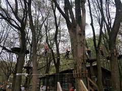 -WeLope紫金山探险公园