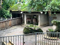 -成都动物园