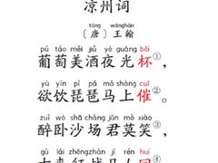 -新贝乐意大利餐厅(苏州中心店)