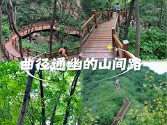 -大岭沟猕猴桃谷风景区