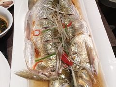 -同里湖度假村(二期店)