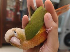 -关爱动物医院·心脏·中兽医·异宠(金牛路分院)