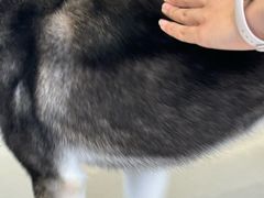 -怪兽屋·羊驼·猫咖·狗咖(俊华广场店)