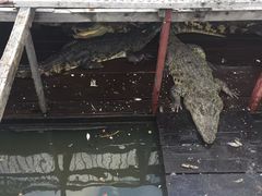 -洞里萨湖