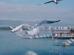 -海埂大坝