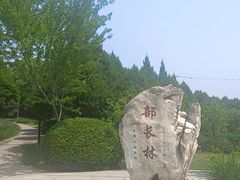 -北坞公园