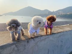 -乌石塘景区