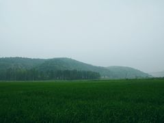 -南泥湾风景区