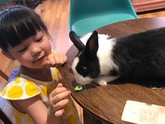 -藦茜花园宠物主题亲子互动体验馆(国顺东路店)