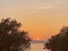 -宝安西湾红树林湿地公园
