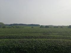 -凤凰沟景区