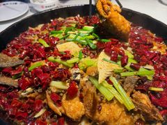 -老板恋上鱼(高新万达店)