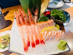 -森味薪火烧•烧鸟居酒屋•日本料理(望京店)