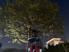 -云溪植物园