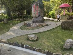 -莫里热带雨林景区