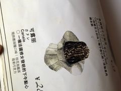 -Ginko银子(青龙街店)