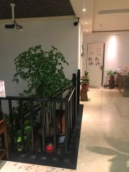 点击看大图 -苑苑发型设计