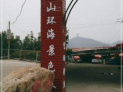 -望湖烤鱼