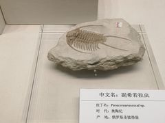 -天津自然博物馆