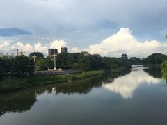 -海珠湖公园