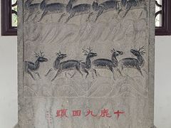 -上海醉白池公园