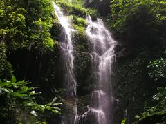 -莫里热带雨林景区