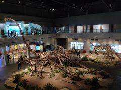 -自贡恐龙博物馆