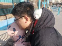 -大连圣亚海洋世界