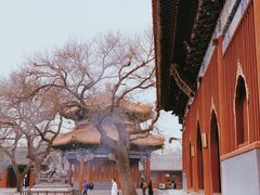 -雍和宫