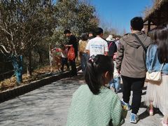 -栾川竹海野生动物园