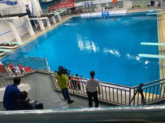 -重庆市奥林匹克体育中心-游泳跳水馆