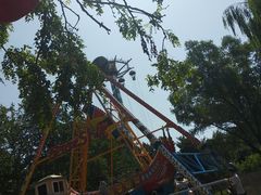 游乐设施-朝阳公园游乐园