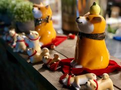 -柴犬高等学院·狗咖·柴犬售卖·宠物训练