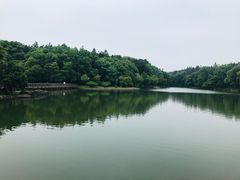 -象山森林公园