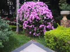 -人民公园(罗湖区)